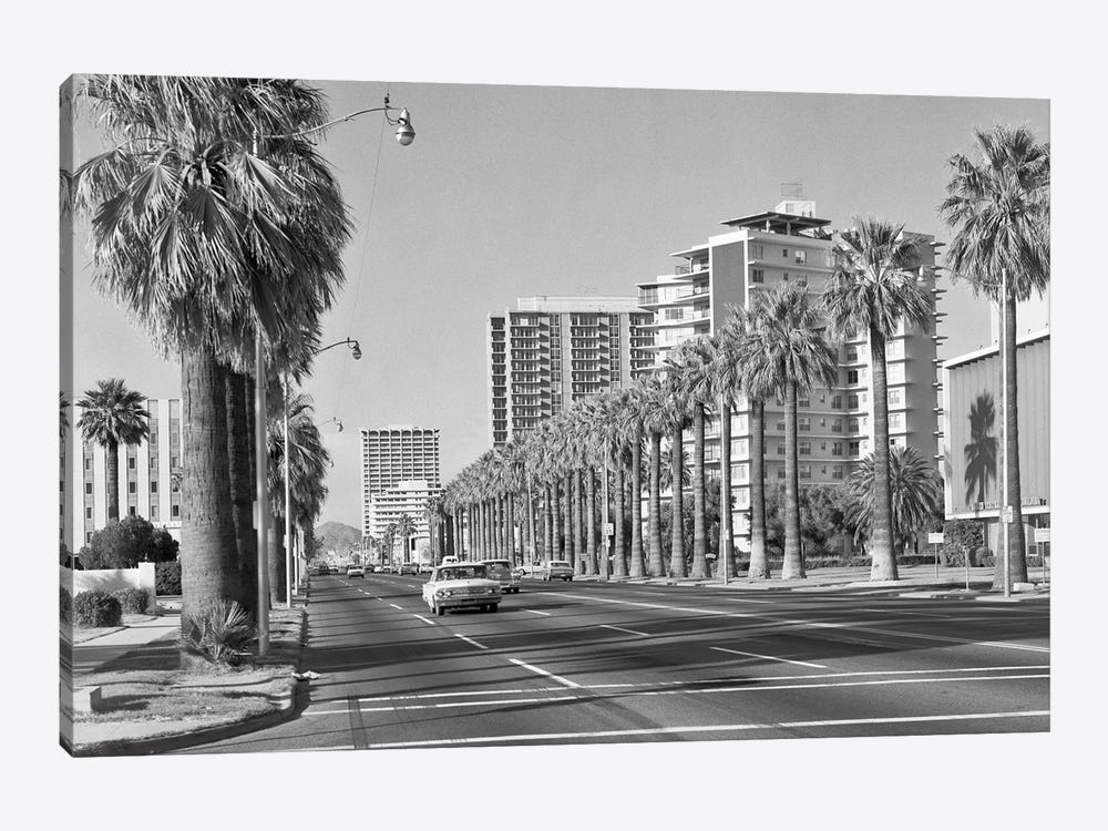 1960s Rows Of Palm Trees Central Avenue Phoenix AZ USA by Vintage Images 1-piece Canvas Wall Art