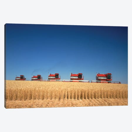 1970s Five Massey Ferguson Combines Harvesting Wheat Nebraska USA Canvas Print #VTG482} by Vintage Images Canvas Art