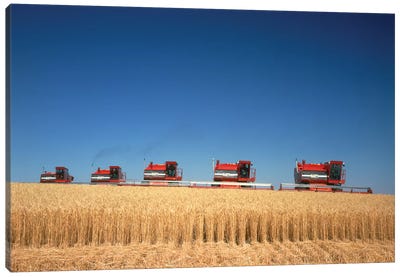 1970s Five Massey Ferguson Combines Harvesting Wheat Nebraska USA Canvas Art Print - Nebraska Art