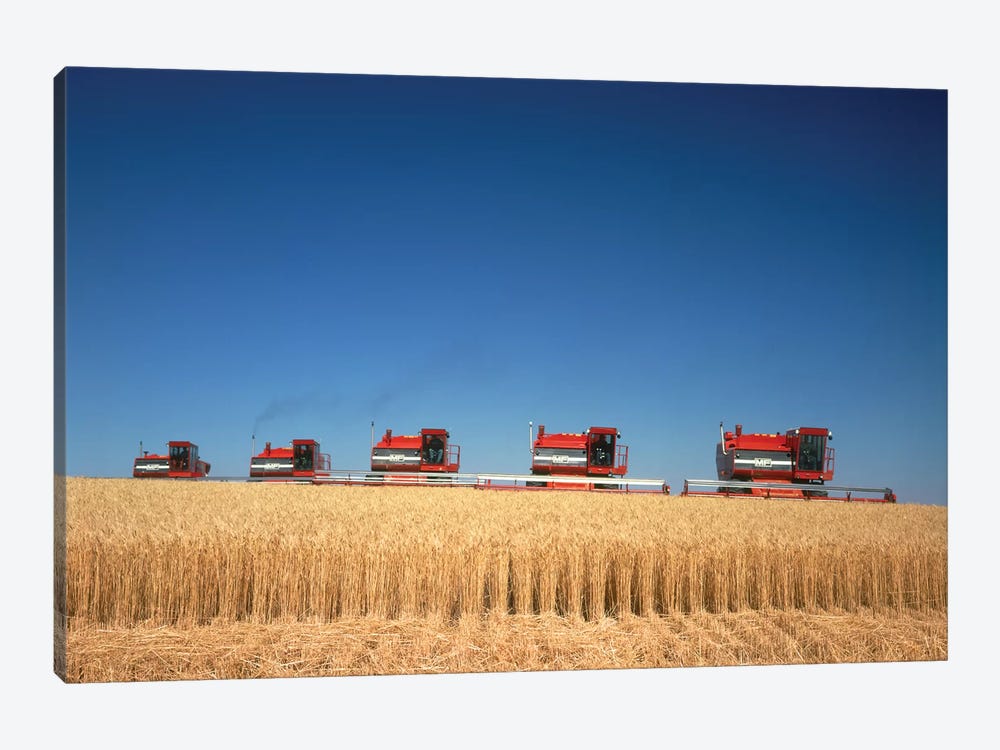 1970s Five Massey Ferguson Combines Harvesting Wheat Nebraska USA by Vintage Images 1-piece Canvas Art Print