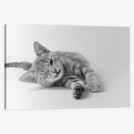 1970s Head On View Of Young Striped Cat Stretching Out On Floor One Eye Closed Indoor Canvas Print #VTG483} by Vintage Images Canvas Art