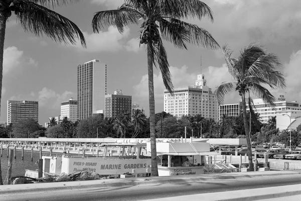 Miami: 1970s Sightseeing Boat At Pier Day Light Skyline Palm Trees Miami Florida USA by Vintage Images