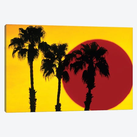 1990s 3 Silhouetted Palm Trees Against Yellow Sky With Big Red Sun Canvas Print #VTG506} by Vintage Images Canvas Wall Art