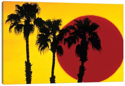 1990s 3 Silhouetted Palm Trees Against Yellow Sky With Big Red Sun Canvas Art Print - Mellow Yellow