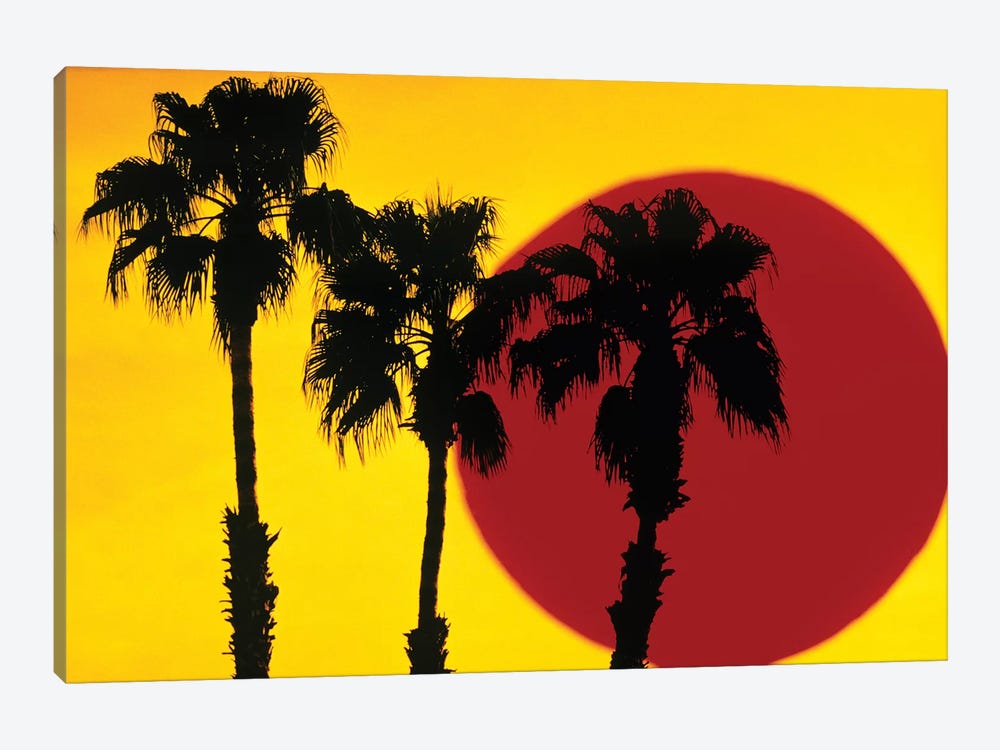 1990s 3 Silhouetted Palm Trees Against Yellow Sky With Big Red Sun by Vintage Images 1-piece Canvas Wall Art