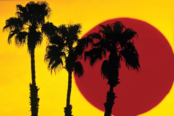 The Nineties: 1990s 3 Silhouetted Palm Trees Against Yellow Sky With Big Red Sun by Vintage Images