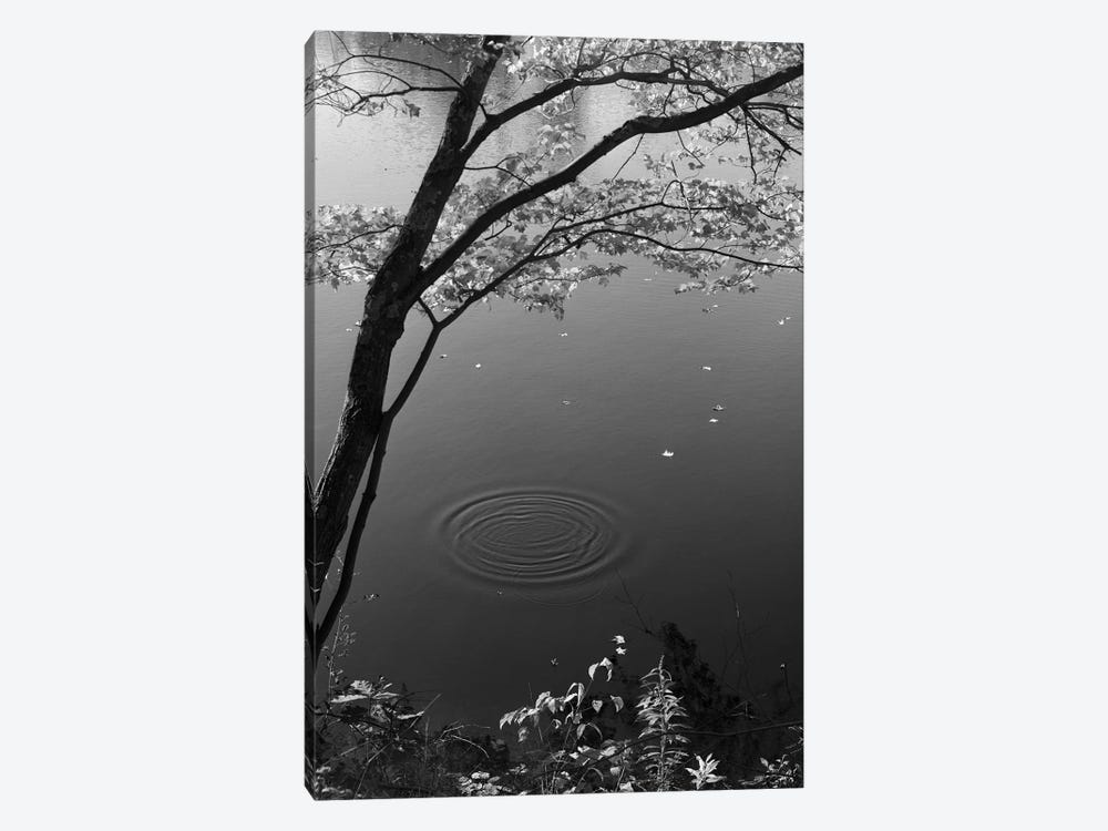 Autumn Tree By Bank Of Pond Concentric Circles In The Water Ripple Effect Nature Leaves by Vintage Images 1-piece Art Print