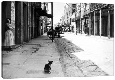 Early 1900s Cat Sitting On Street Older Section Of New Orleans Louisiana USA Canvas Art Print - City Street Art