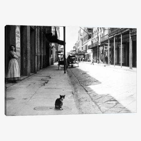 Early 1900s Cat Sitting On Street Older Section Of New Orleans Louisiana USA Canvas Print #VTG522} by Vintage Images Art Print