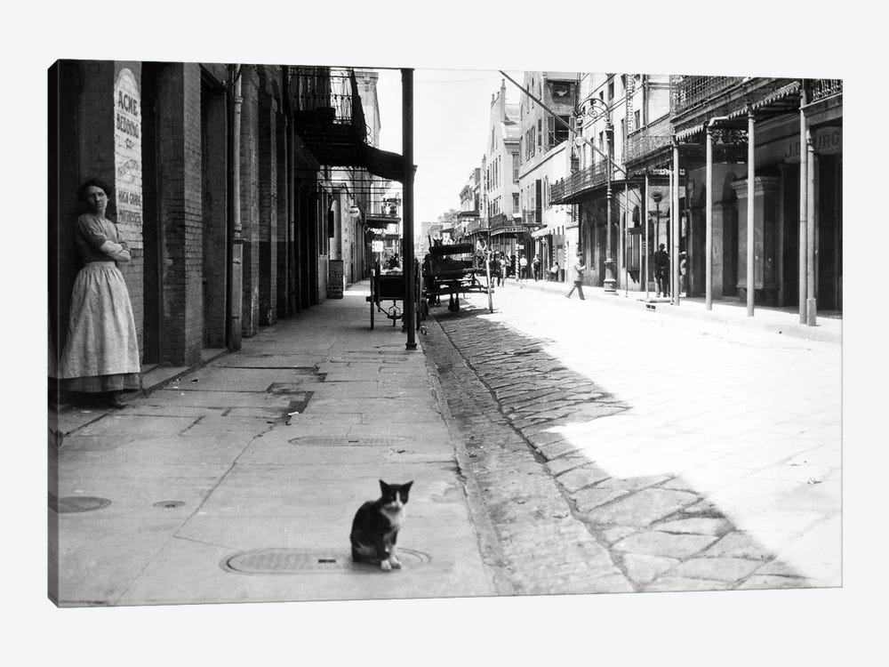 Early 1900s Cat Sitting On Street Older Section Of New Orleans Louisiana USA by Vintage Images 1-piece Canvas Artwork