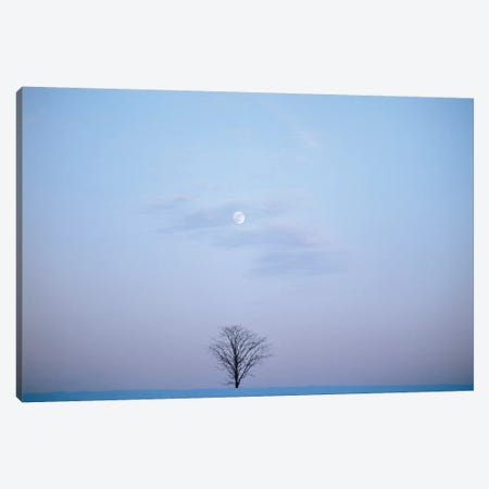 Single Tree In Winter Landscape Evening Moon Canvas Print #VTG533} by Vintage Images Canvas Wall Art