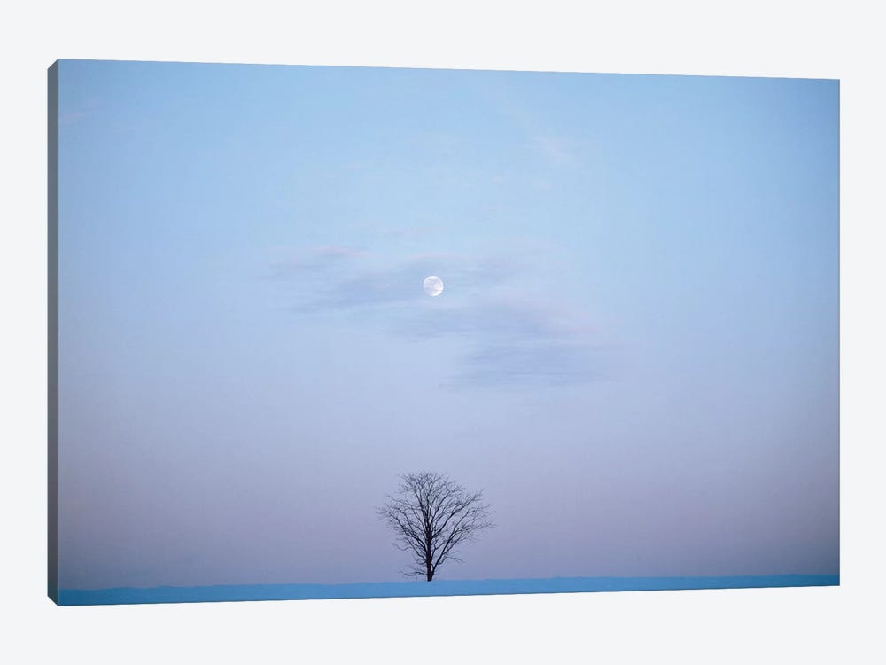 Single Tree In Winter Landscape Evening Moon by Vintage Images 1-piece Canvas Artwork