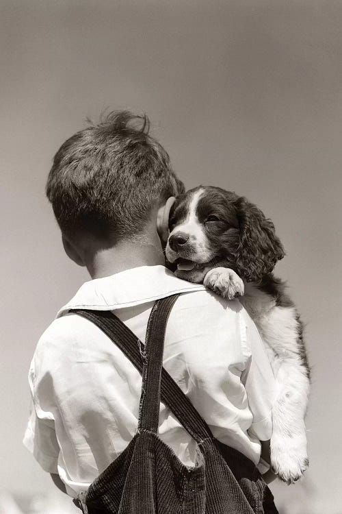 1930s-40s Back View Of Boy In Corduroy Overalls Holding Springer Spaniel Puppy