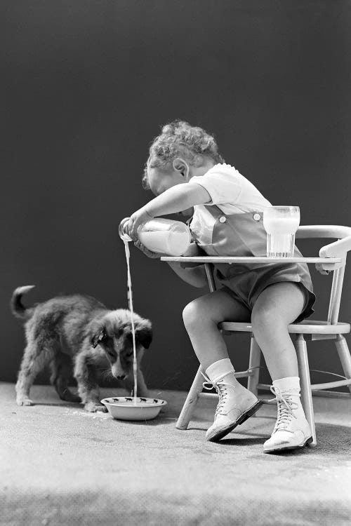 1940s Toddler Sitting In Chair Pouring Milk From Bottle Into Bowl For Puppy Dog