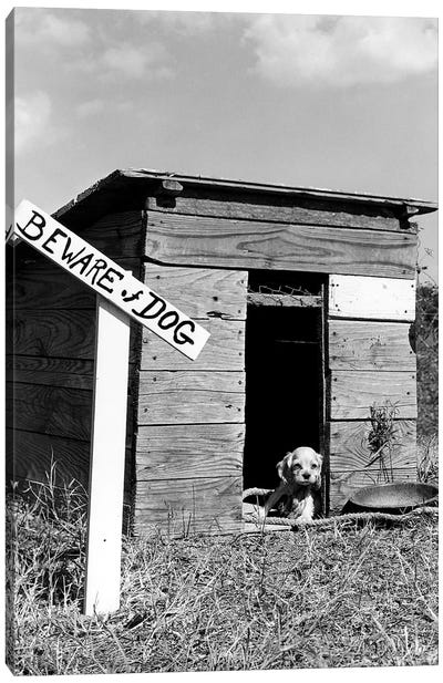 1950s Cocker Spaniel Puppy In Doghouse With Beware Of Dog Sign Canvas Art Print - Spaniels