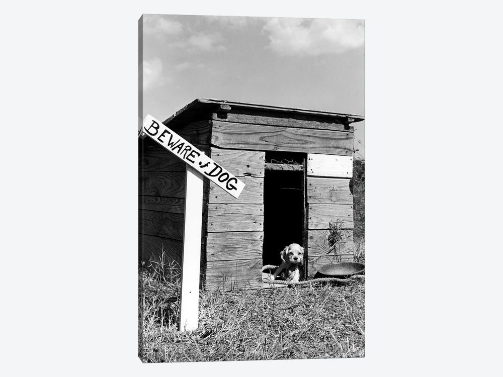 1950s Cocker Spaniel Puppy In Doghouse With Beware Of Dog Sign by Vintage Images 1-piece Canvas Wall Art