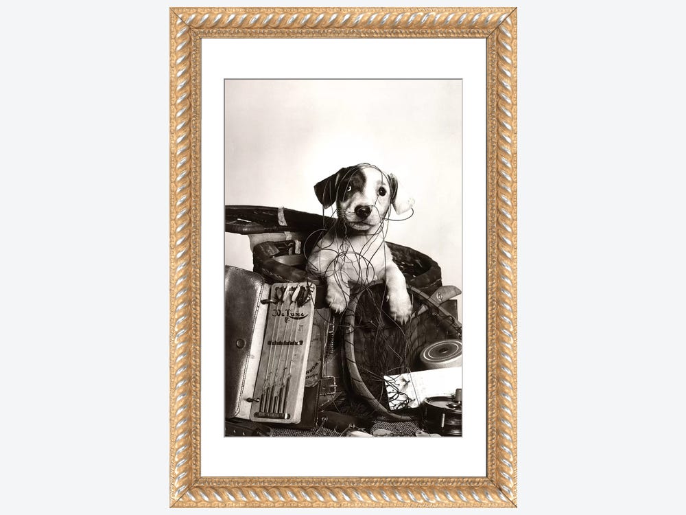 1950s Dog Popping Out Of Basket Ta - Canvas Art Print