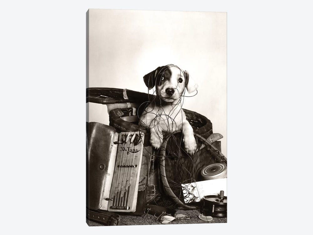 1950s Dog Popping Out Of Basket Tangled In Fishing Equipment by Vintage Images 1-piece Canvas Art