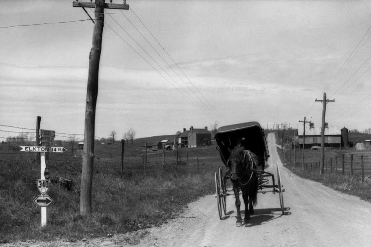 1920s-1930s Amish Man Driving Buggy Down Rural Dirt Road In Farm Country