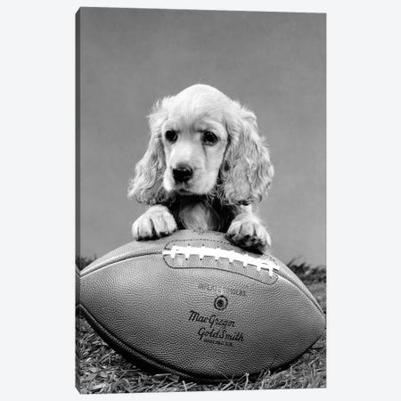 1960s Cocker Spaniel Puppy With Front Paw Resting On American Football Canvas Print #VTG579} by Vintage Images Canvas Wall Art