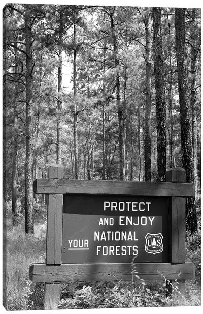 1980s Sign In Front Of Wooded Area Reading Protect And Enjoy Your National Forests Canvas Art Print - Environmental Conservation Art