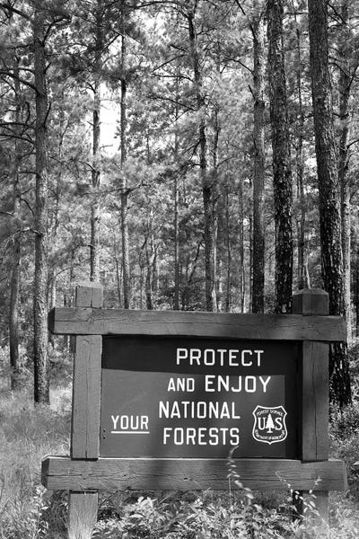 Environmental Conservation: 1980s Sign In Front Of Wooded Area Reading Protect And Enjoy Your National Forests by Vintage Images