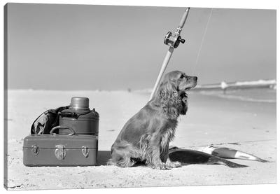 Cocker Spaniel Dog Standing Guard Over Two Caught Fish And Fishing Equipment Canvas Art Print - Dog Photography