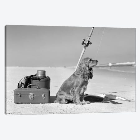 Cocker Spaniel Dog Standing Guard Over Two Caught Fish And Fishing Equipment Canvas Print #VTG621} by Vintage Images Canvas Wall Art
