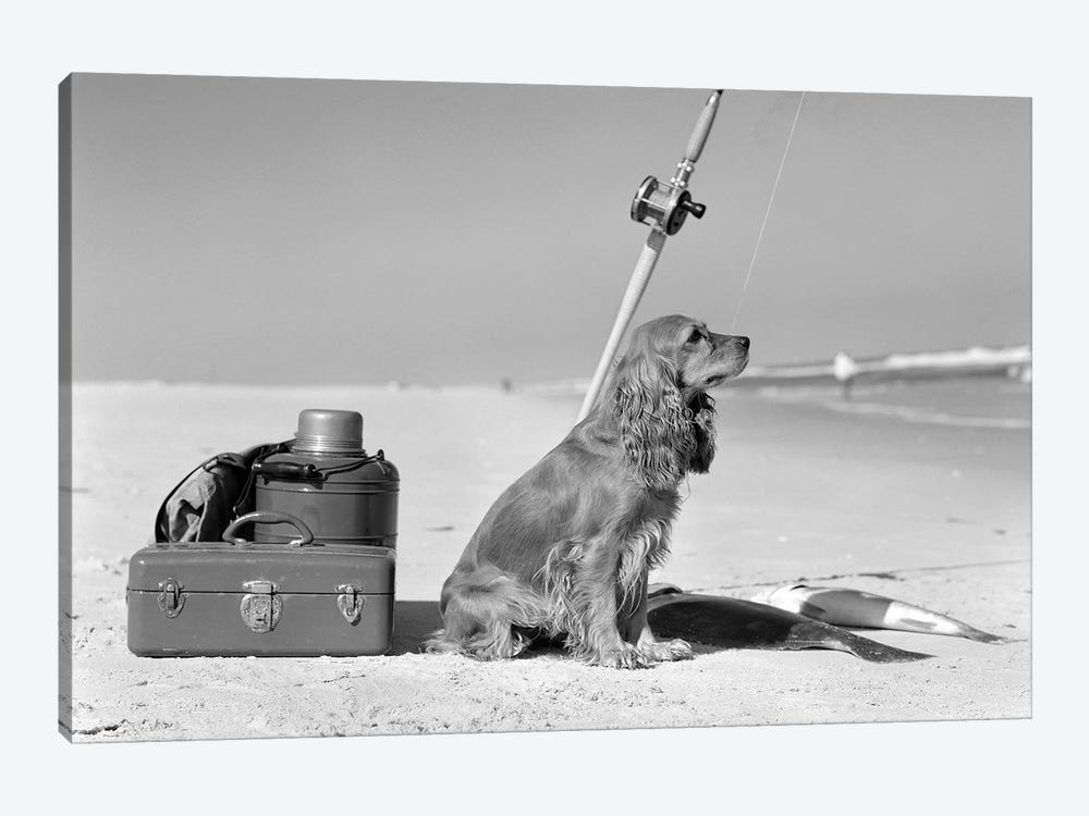 Cocker Spaniel Dog Standing Guard Over Two Caught Fish And Fishing Equipment by Vintage Images 1-piece Art Print