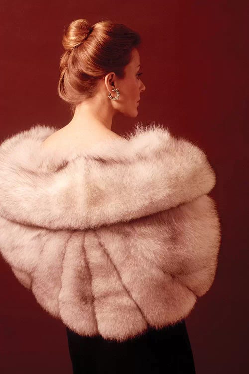 1970S Elegant Upscale Woman Wearing Silver Fur Stole