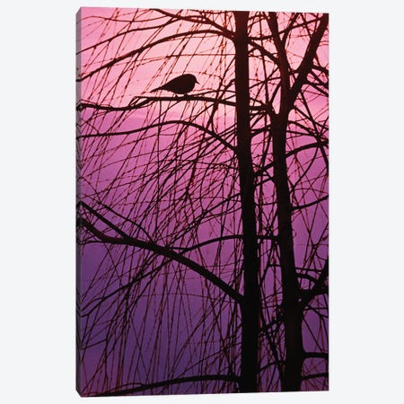 1980s Bird Silhouette In Tree Branches Canvas Print #VTG726} by Vintage Images Canvas Art