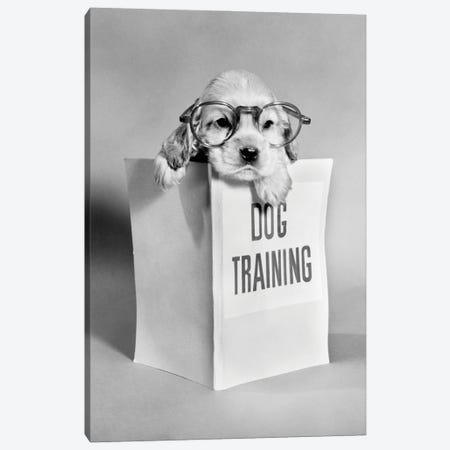 1950s Cocker Spaniel Puppy Wearing Glasses With Paws Over Dog Training Manual Canvas Print #VTG788} by Vintage Images Canvas Print