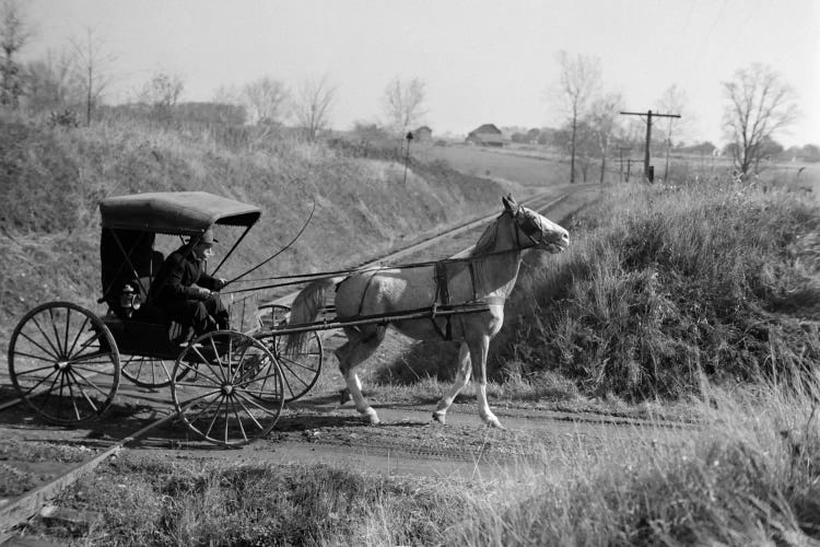 1890s-1900s Rural Country Doctor Driving Horse & Carriage Across Railroad Tracks