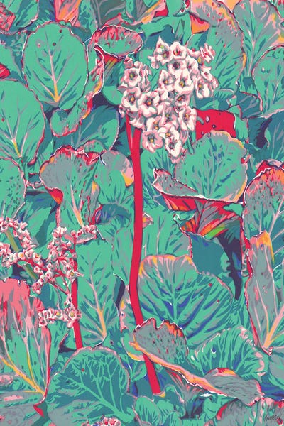 Bergenia Flowers by Vitali Komarov canvas print