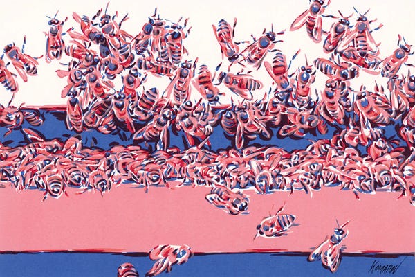 Bees: Honey Bees by Vitali Komarov