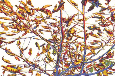 Gold Autumn Tree by Vitali Komarov framed wall art