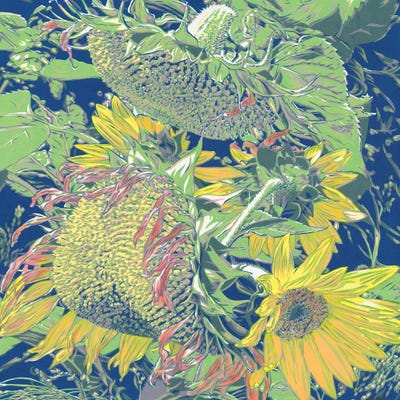 Sunflowers In The Field by Vitali Komarov framed wall art