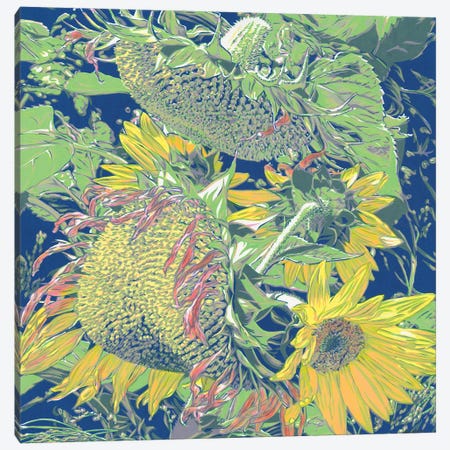 Sunflowers In The Field Canvas Print #VTK114} by Vitali Komarov Art Print