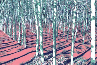 Young Linden Forest by Vitali Komarov framed wall art