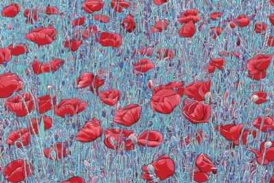 Poppy Field by Vitali Komarov canvas print