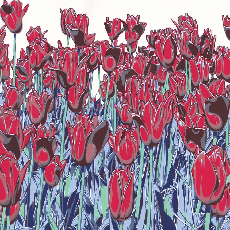 Tulips Filed