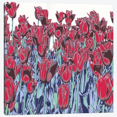 Tulips Filed Canvas Print #VTK124} by Vitali Komarov Canvas Art