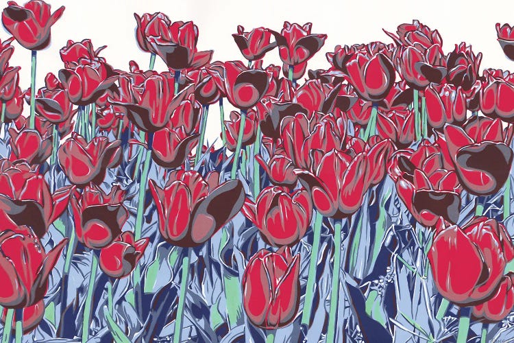 Red Tulip Field