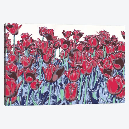 Red Tulip Field Canvas Print #VTK125} by Vitali Komarov Canvas Art