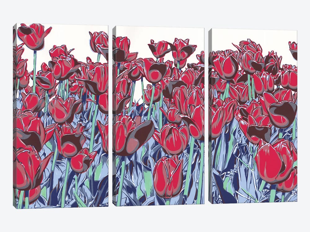 Red Tulip Field by Vitali Komarov 3-piece Canvas Print