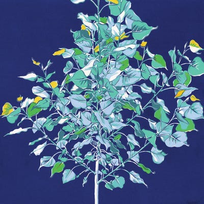 Young Tree by Vitali Komarov framed wall art