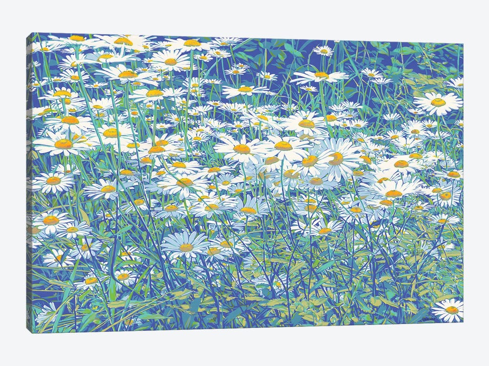 Daisy Flowers In A Field by Vitali Komarov 1-piece Canvas Print