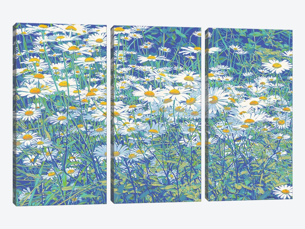 Daisy Flowers In A Field by Vitali Komarov 3-piece Canvas Art Print