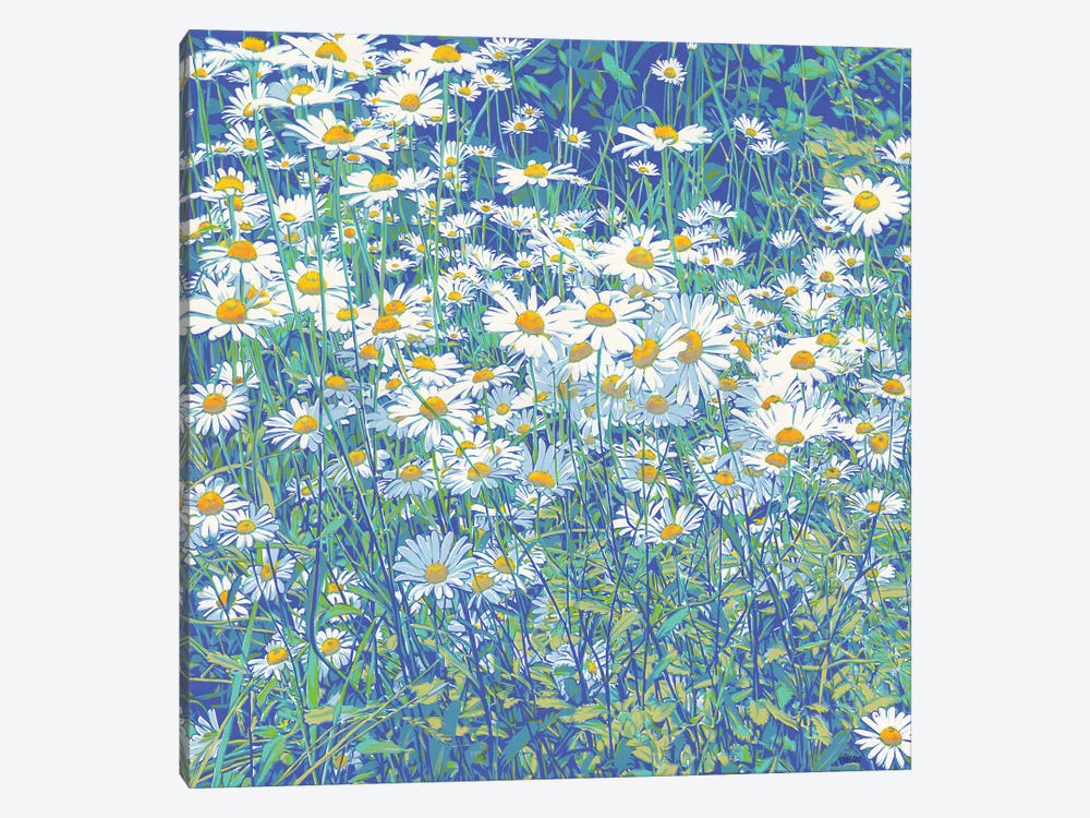 Daisy Flowers by Vitali Komarov 1-piece Art Print