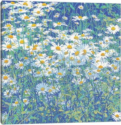 Daisy Flowers Canvas Art Print - Daisy Art